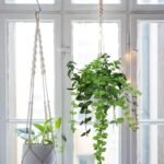 macrame hanger