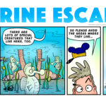 Estuarine Escapades Strip