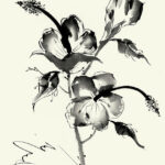 ink-wash-floral-iii-hibiscus-nan-rae